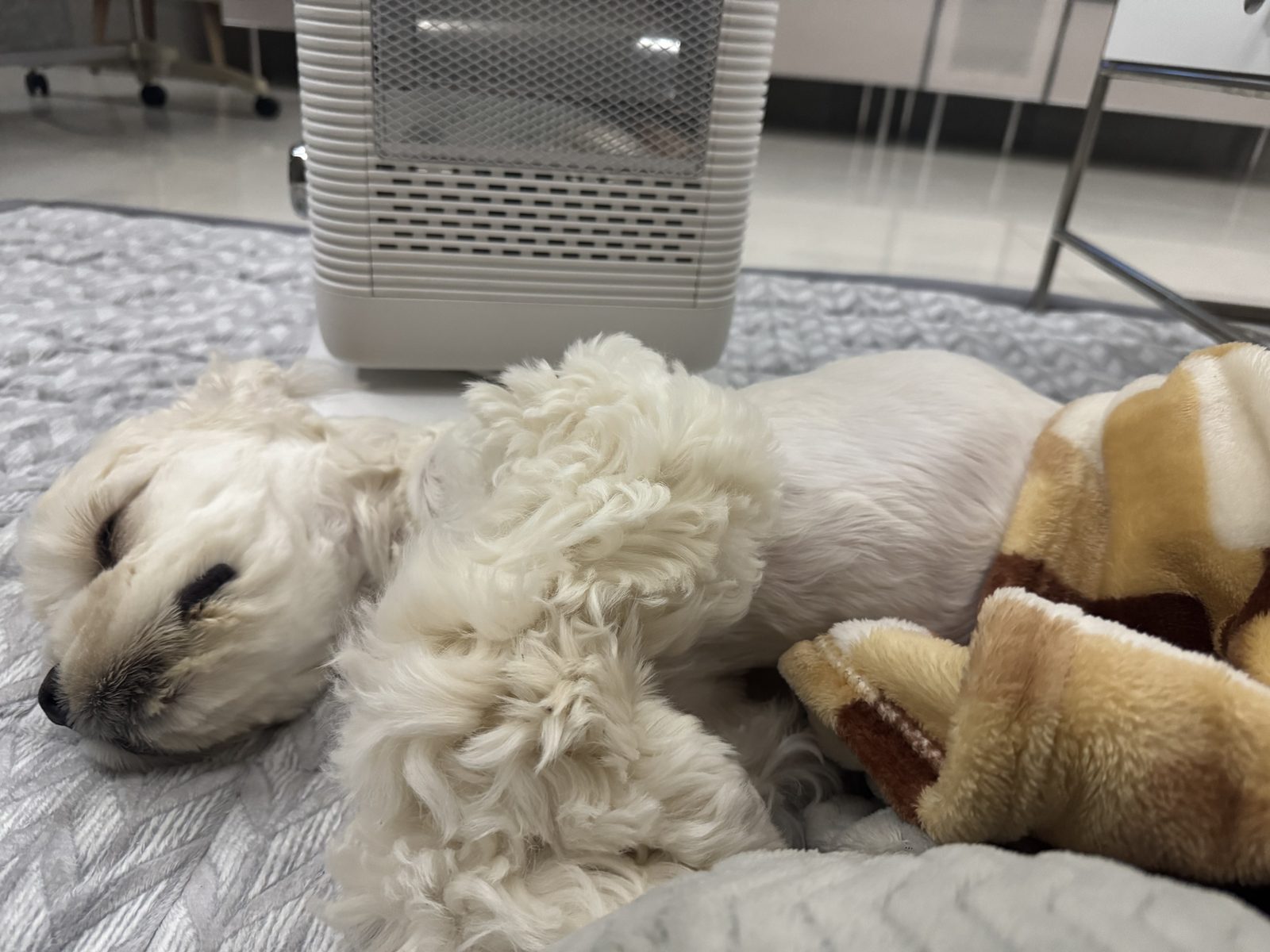 Sleeping on duty