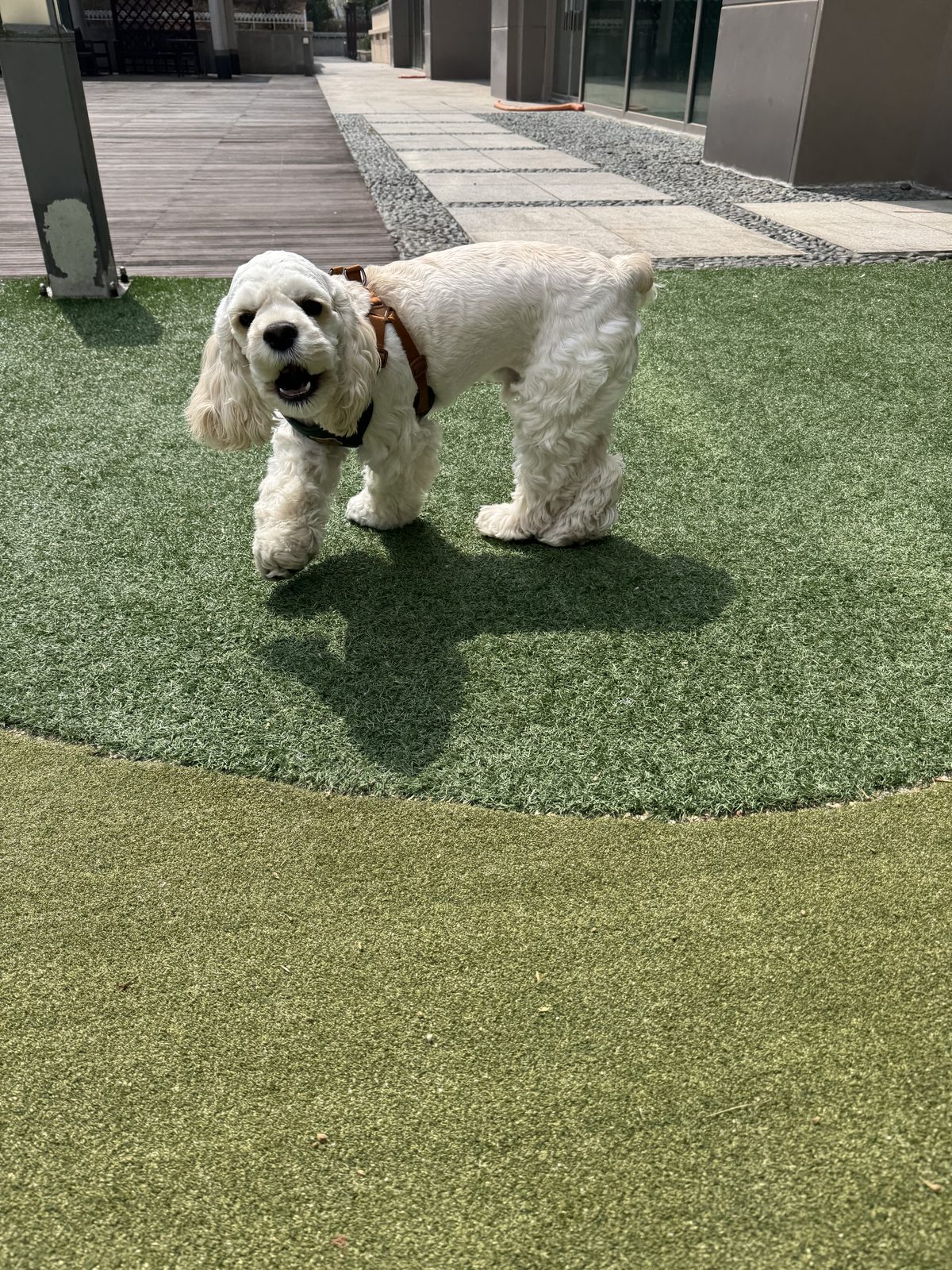 Barking at non-ideal behavior