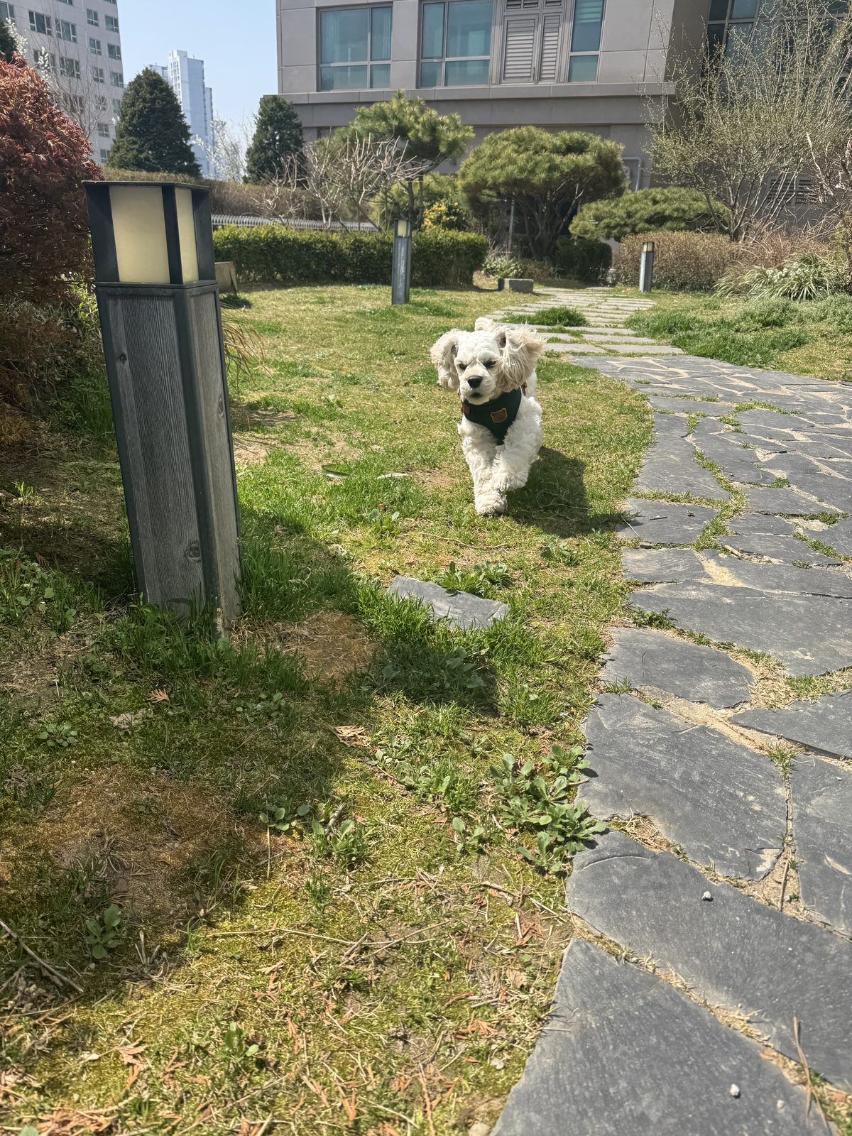 Playtime during cyclic voltammetry